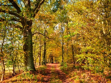 Indian Summer Plau am See Indian Summer Plau am See