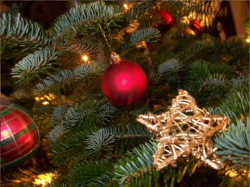 Weihnachten im Seehotel Plau am See Feiern Sie Weihnachten mit Freunden…