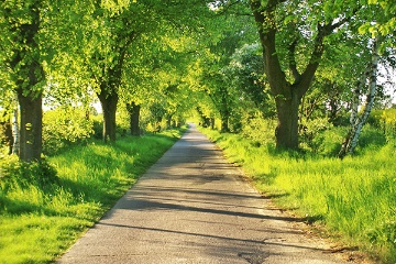 Kilometer Touren entlang der Deutschen Alleenstraßen an den Seen entlang bis hoch zu Ostsee bieten ein Eldorado für Bikerfreunde.