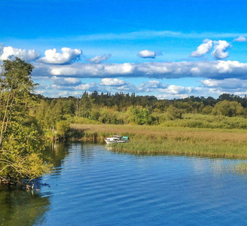 Natur um den Plauer See