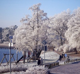 Winter am Plauer See