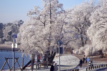 Winter am Plauer See